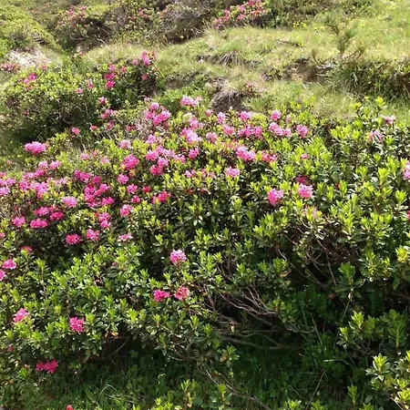 Apartamento Abendrot 1- Stock Sued-west By Interhome